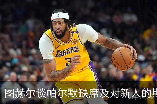 图赫尔谈帕尔默缺席及对新人的期待